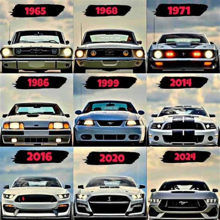 Are 2010 Mustangs good on gas?