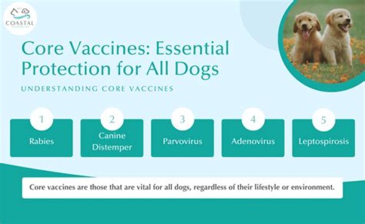 Are all dog vaccines necessary?