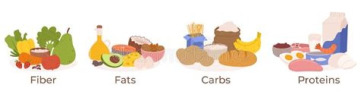 Are grains carbs or protein?