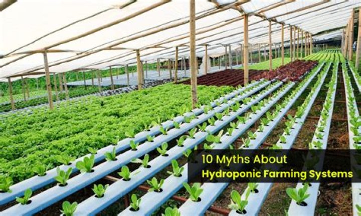 Are hydroponics a good investment?