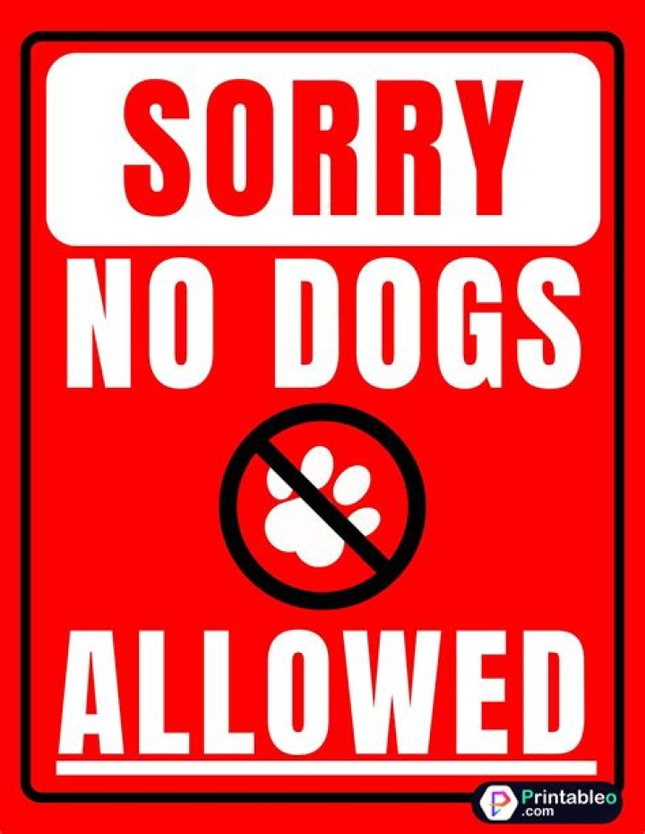 Are pet dogs allowed in China?