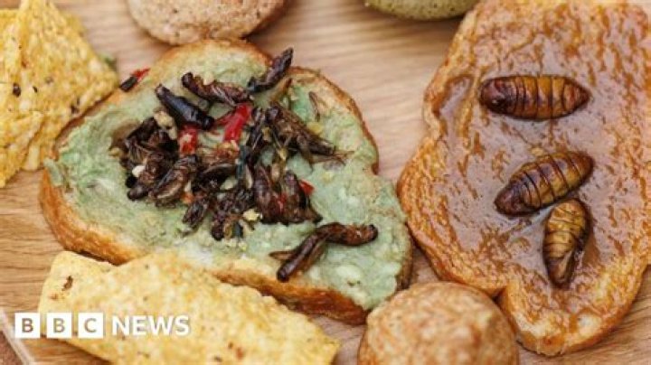 Are there bugs in all our food?