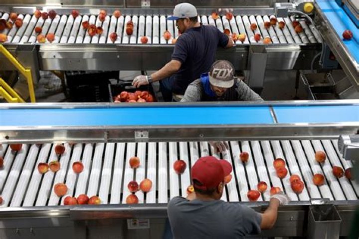 Are worker coops unionized?