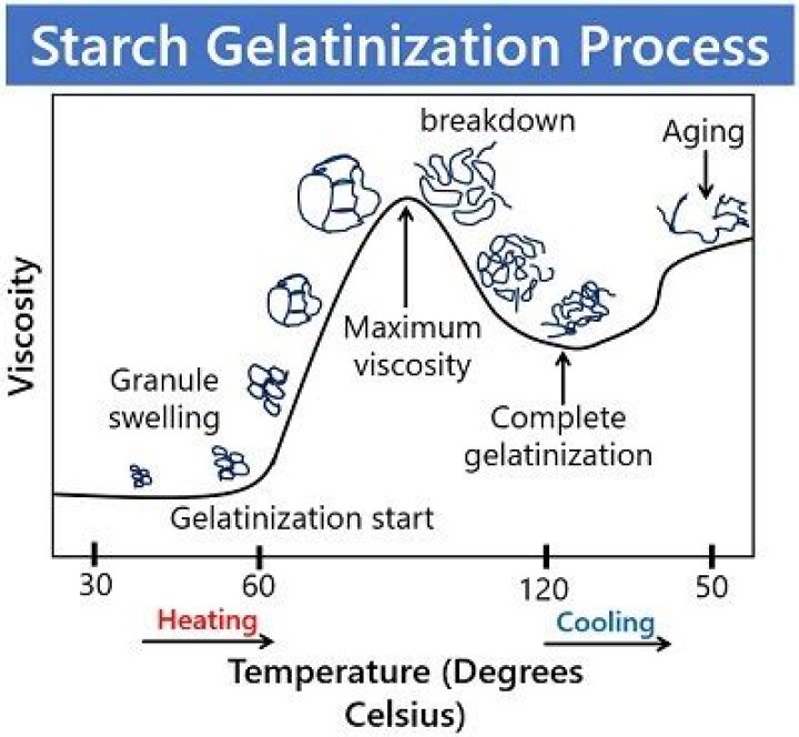 At what temperature is starch gelatinization complete?