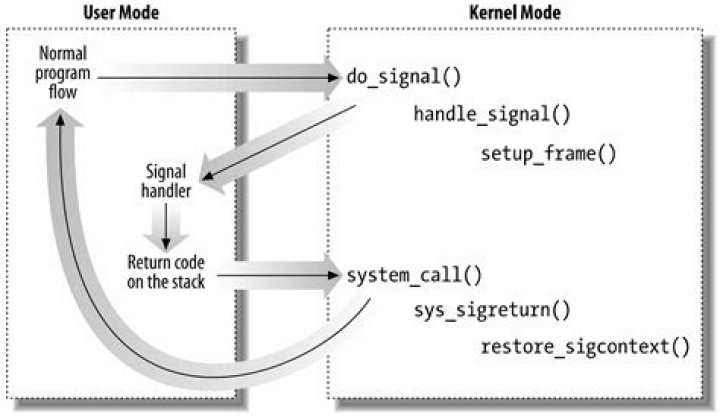 Can a signal handler call a function?