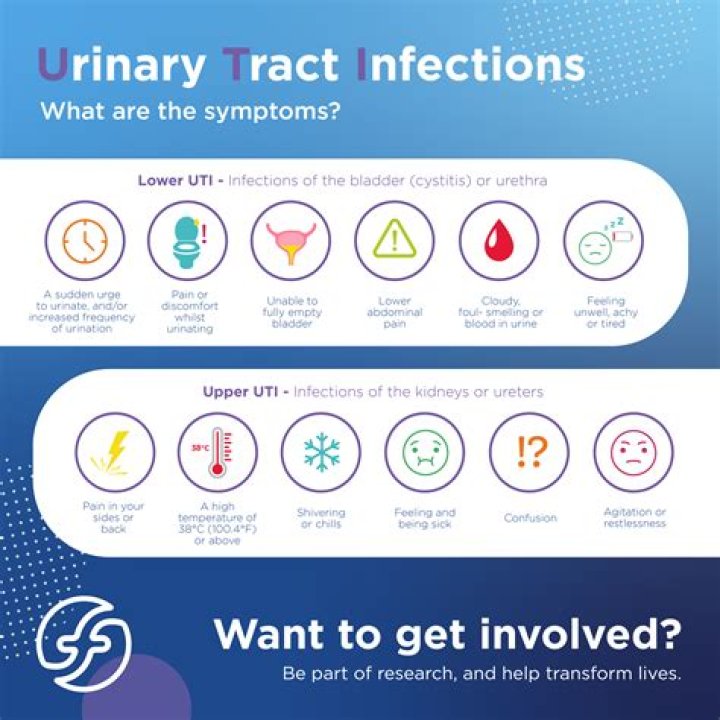 Can a UTI be resistant to Cipro?