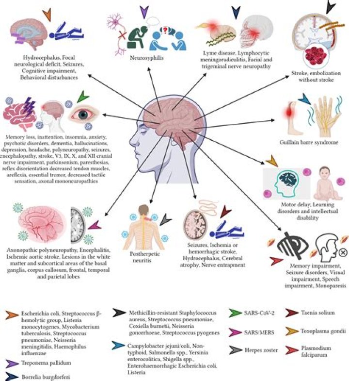 Can aluminum cause neurological problems?