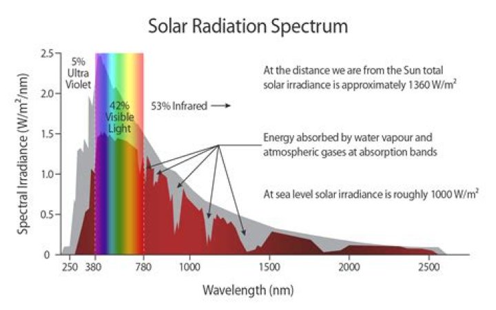 Can Cactus emit radiation?
