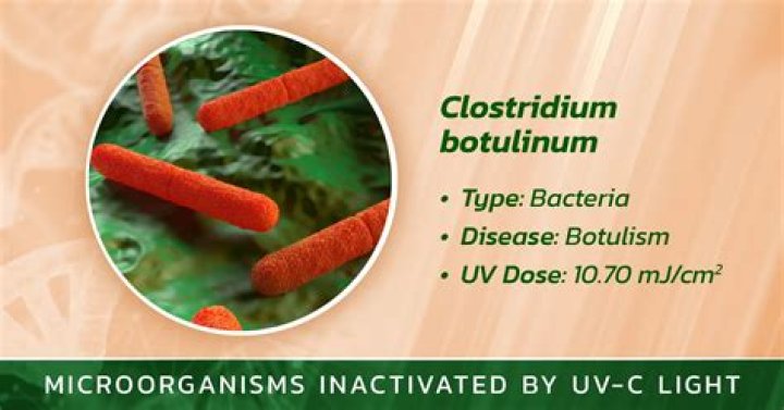 Can Clostridium botulinum survive disinfectants?