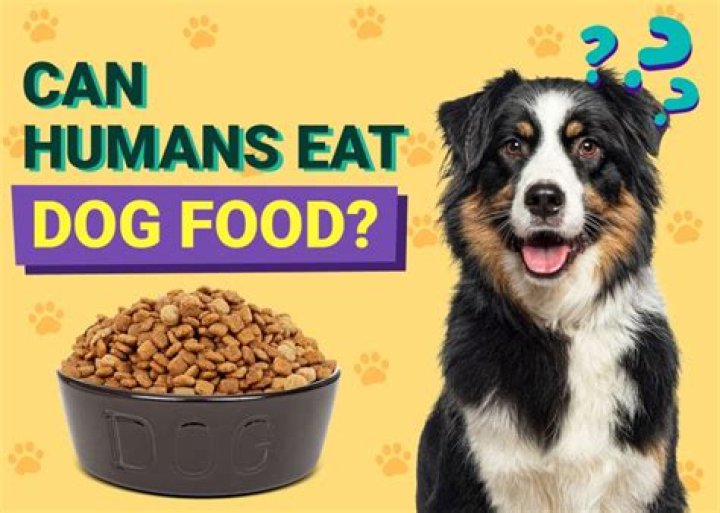 Can humans eat metals?