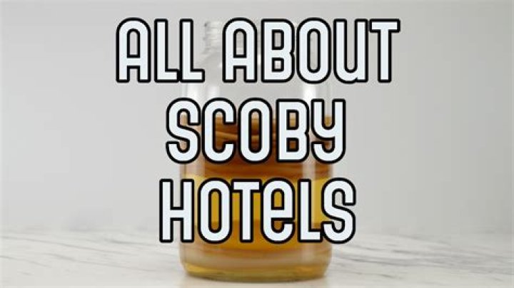 Can scoby hotel be sealed?