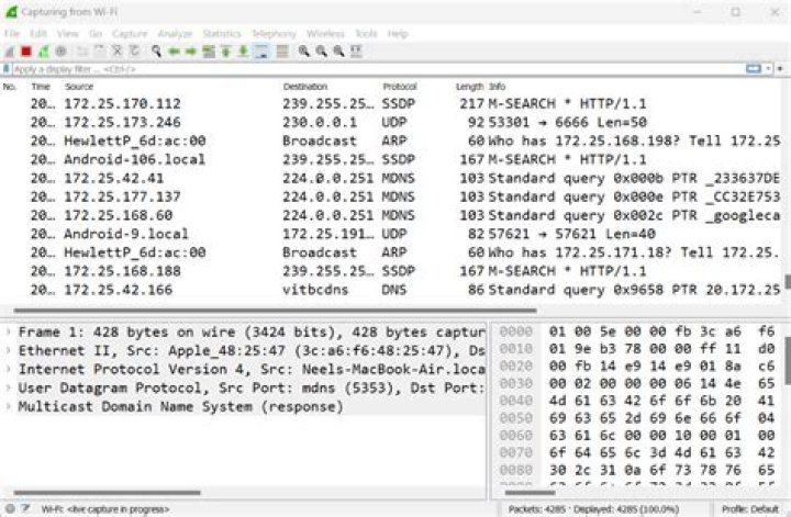 Can two DNS point to same IP?