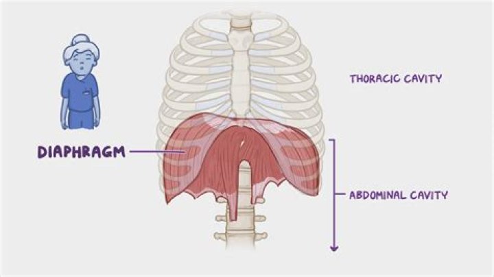 Can xiphoid process be removed?