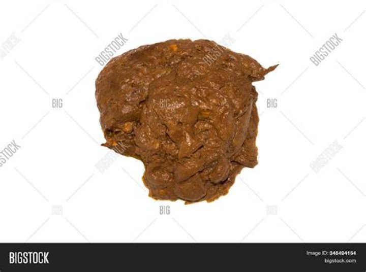 Can you cook human poop?