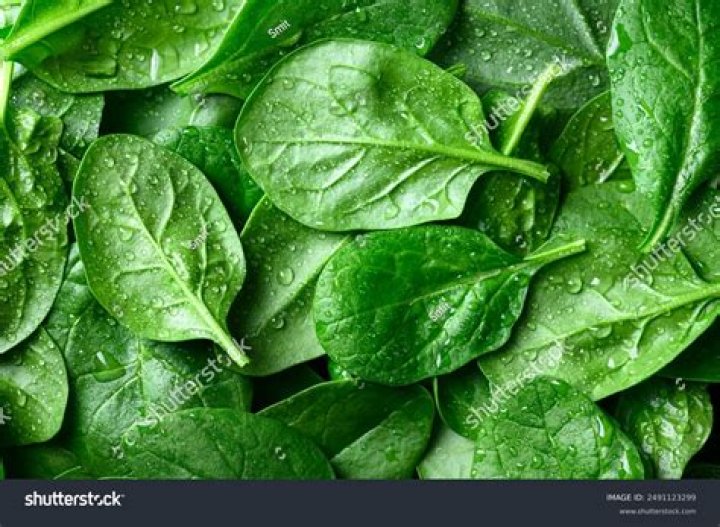 Can you eat uncooked spinach leaves?