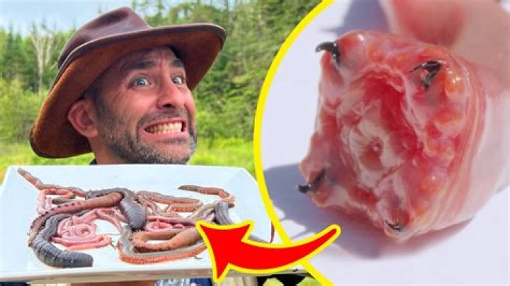Can you get worms from eating too much pork?