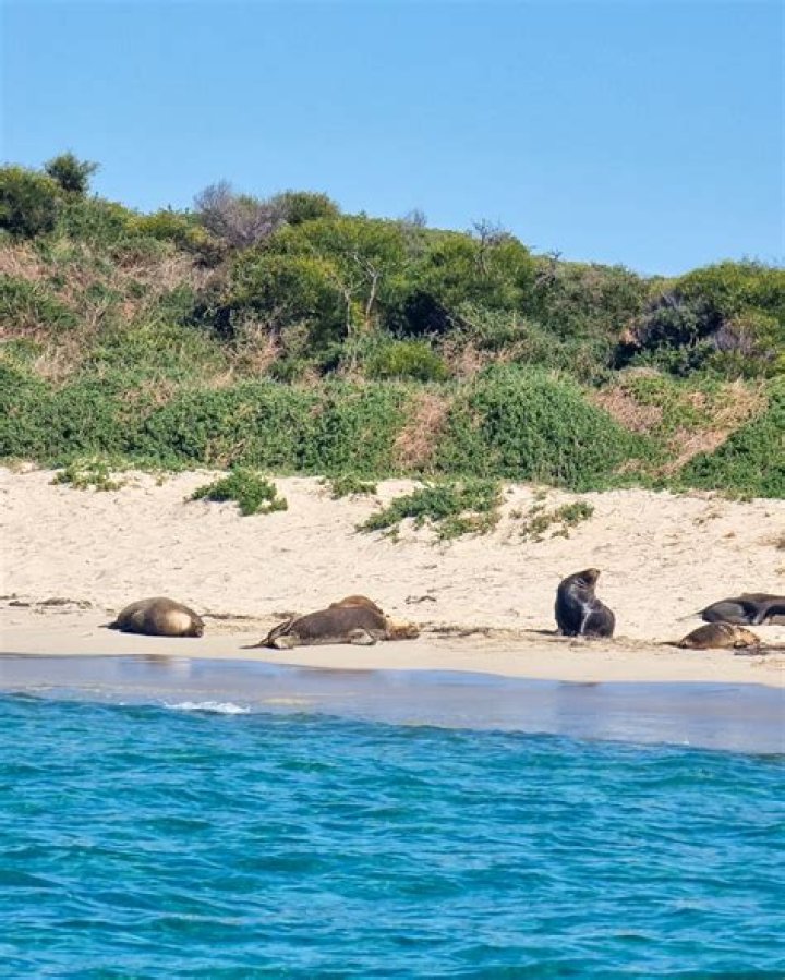 Can you go onto Carnac Island?