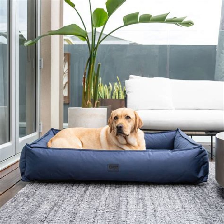 Can you leave a dog bed outside?