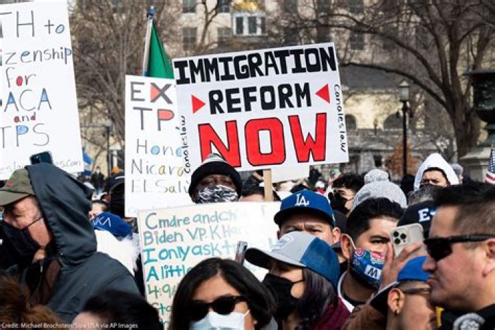 Can you look up immigration cases?