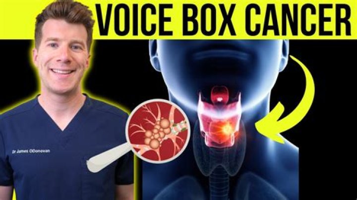 Can you still talk without a voice box?