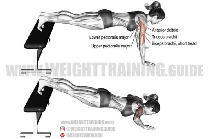 Do decline push ups work upper chest?