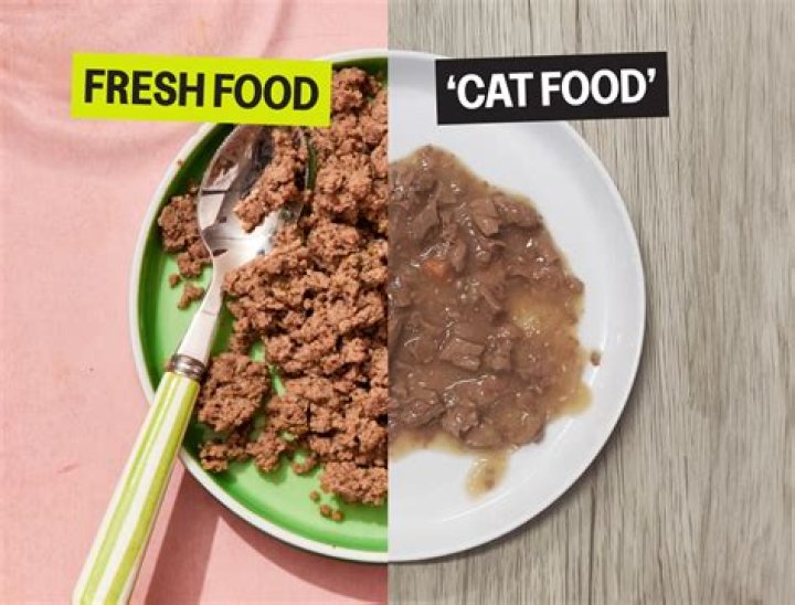Do humans have to cook their food?
