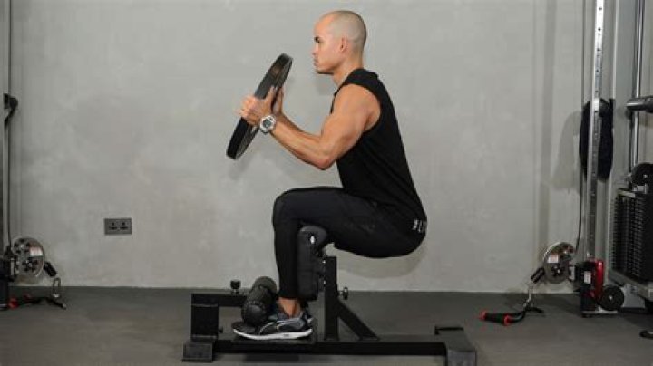Do sissy squats build quads?