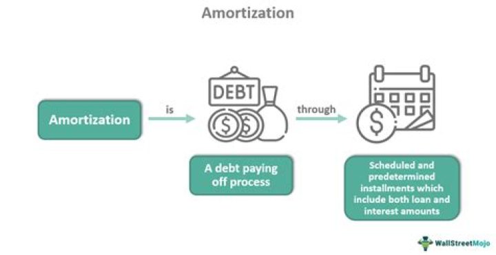 Do you amortize franchise fees?