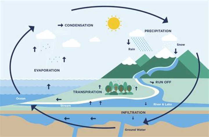 Does all water go through the water cycle?