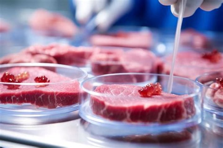 Does any meat have antibiotics?