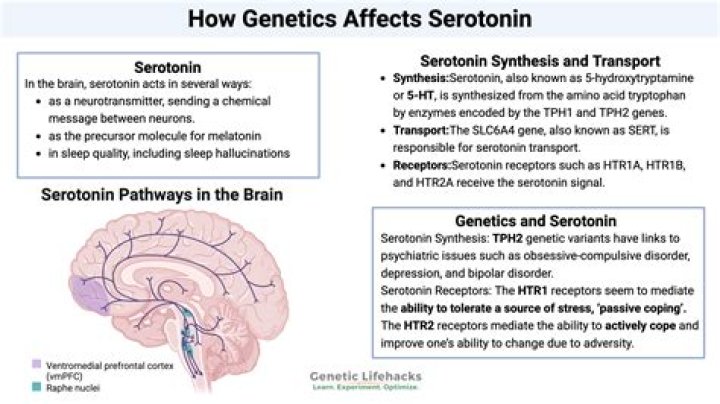 Does cyproheptadine help ADHD?