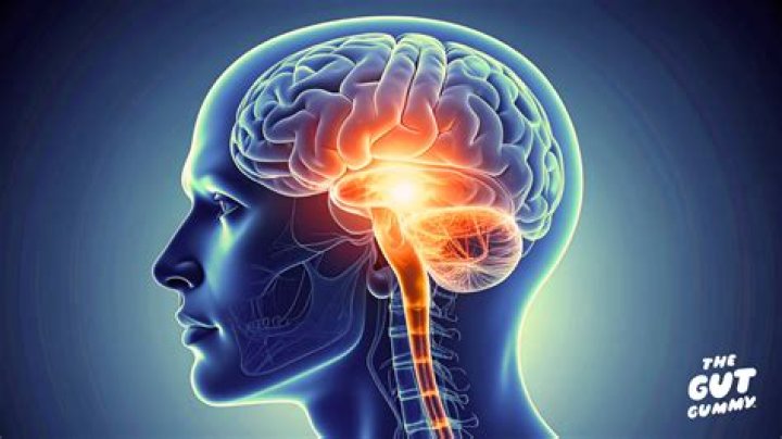 Does everything you eat go to your brain?