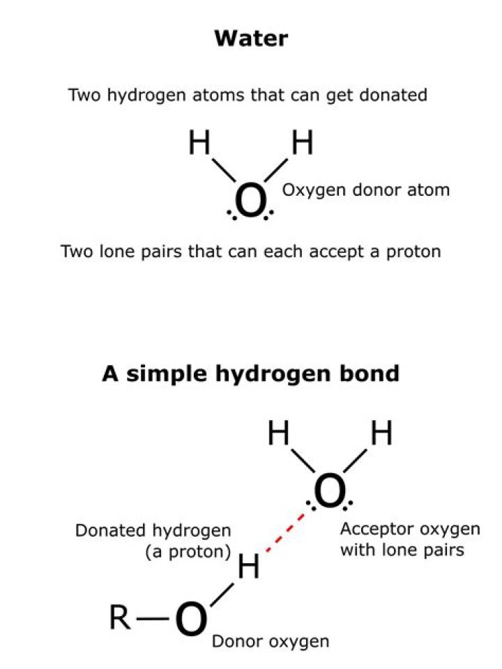 Does hydrogen make sense?