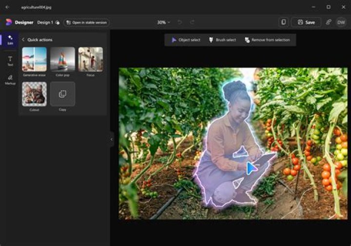 Does Microsoft Office have a picture editor?