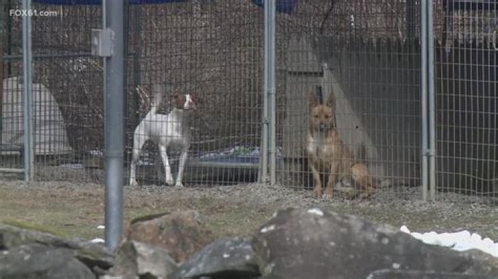 Does Missouri have kill shelters?