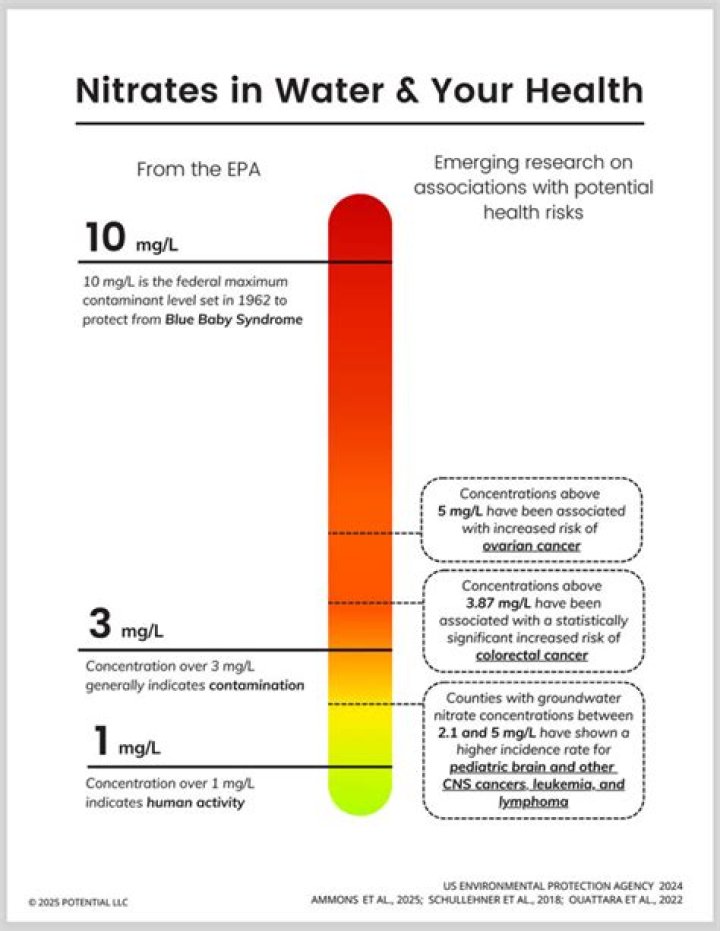 Does nitrate in water cause cancer?