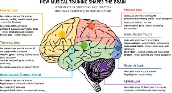 Does piano increase intelligence?