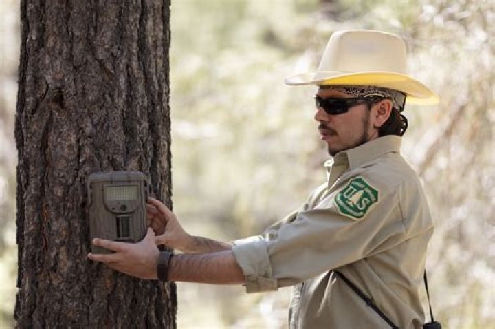 Does the US Forest Service ever sell land?