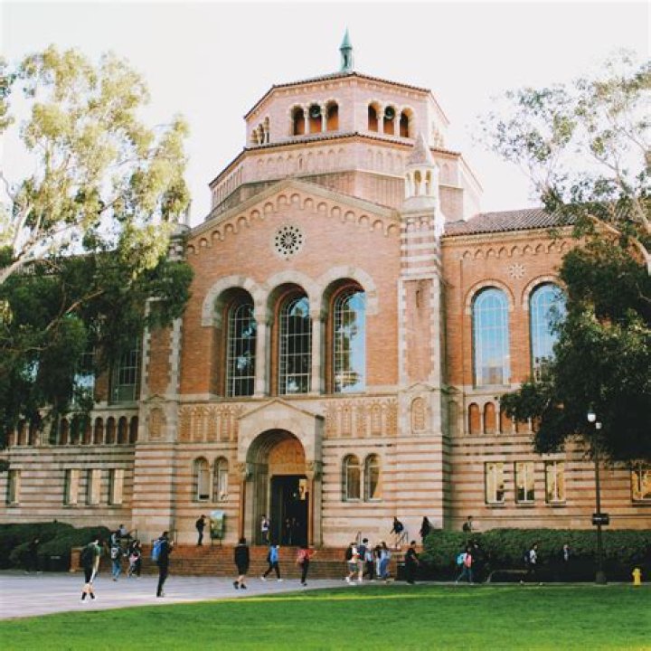 Does UCLA have mis degree?