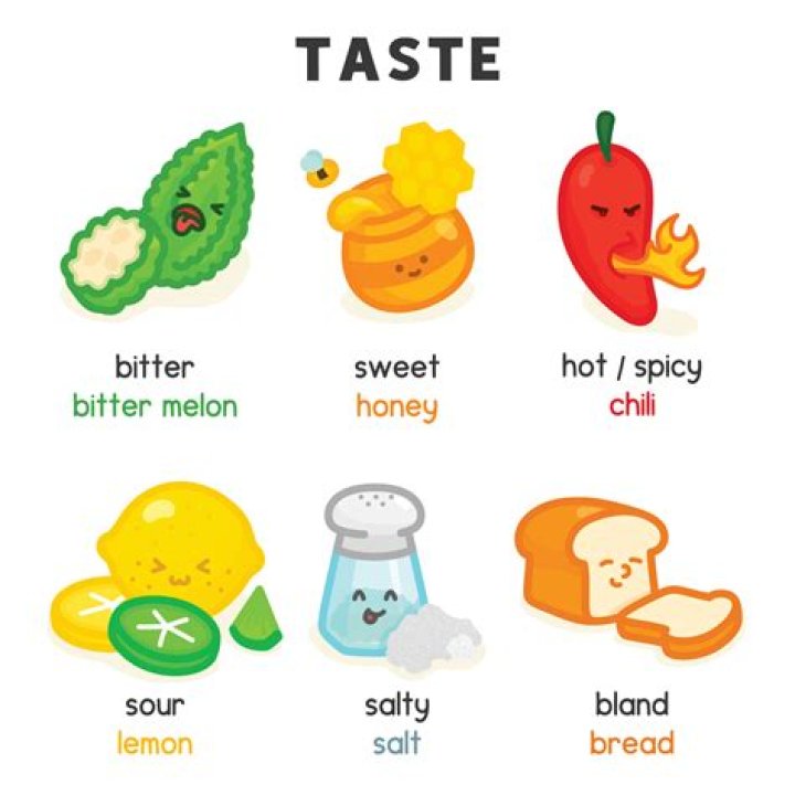 Does visual perception affects the taste of the food?