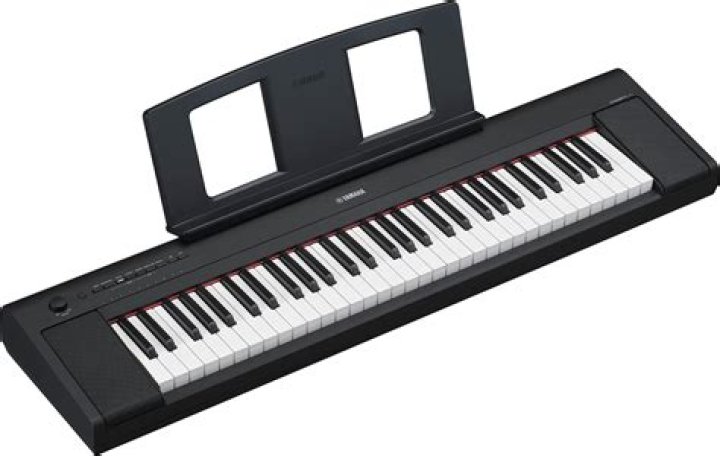 Does Yamaha NP 31 have weighted keys?