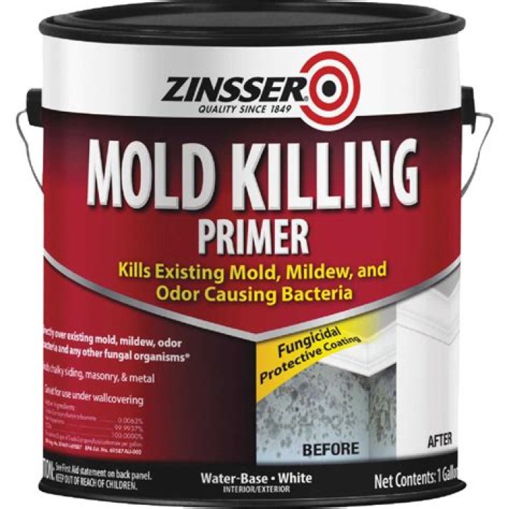Does Zinsser paint kill mold?
