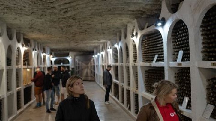 How big is the wine cellar in Moldova?