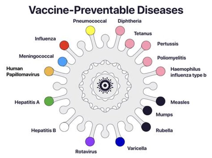 How can bacteria be prevented?