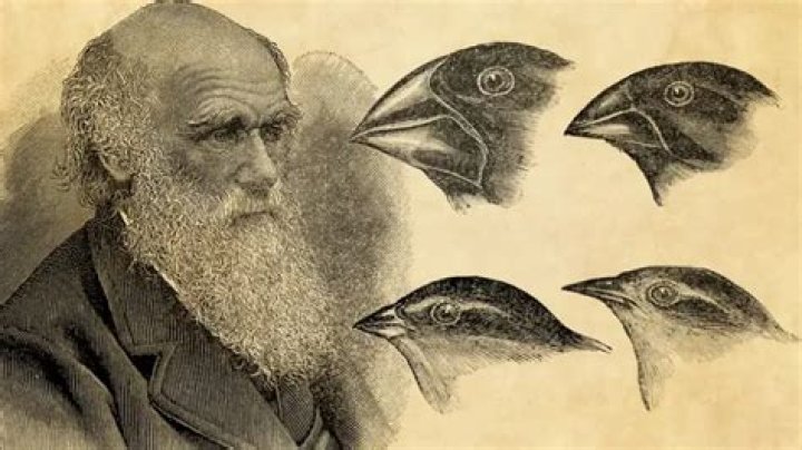 How did Cuvier influence Charles Darwin?