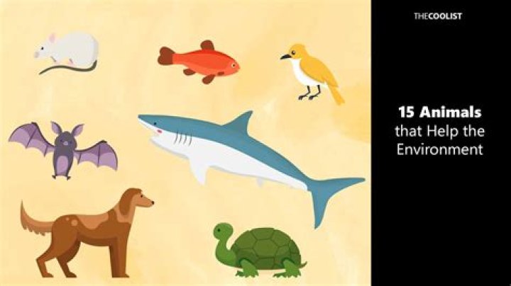 How do animals help us with food?
