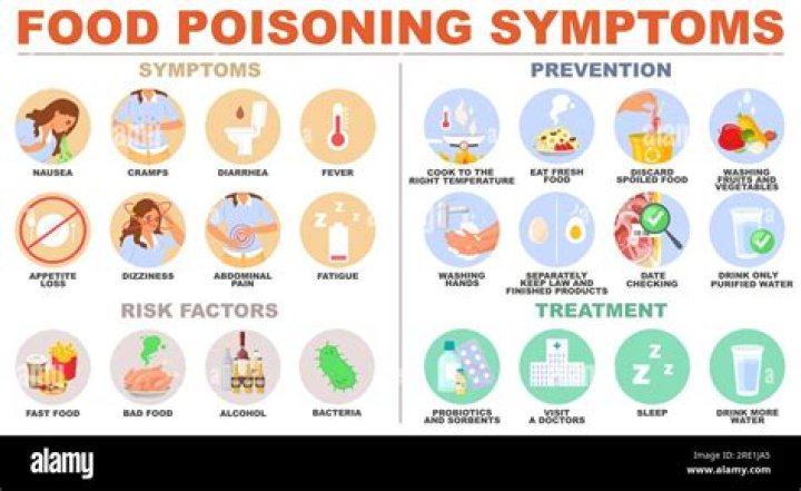 How do flies usually cause food poisoning?