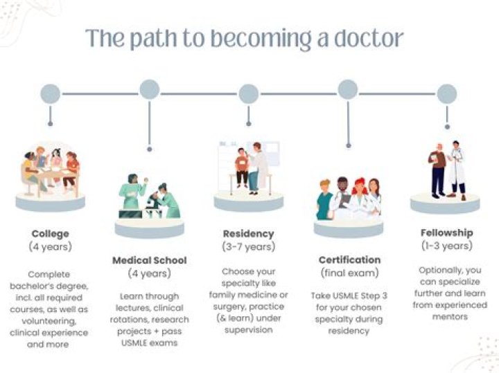 How do I become a health auditor NZ?