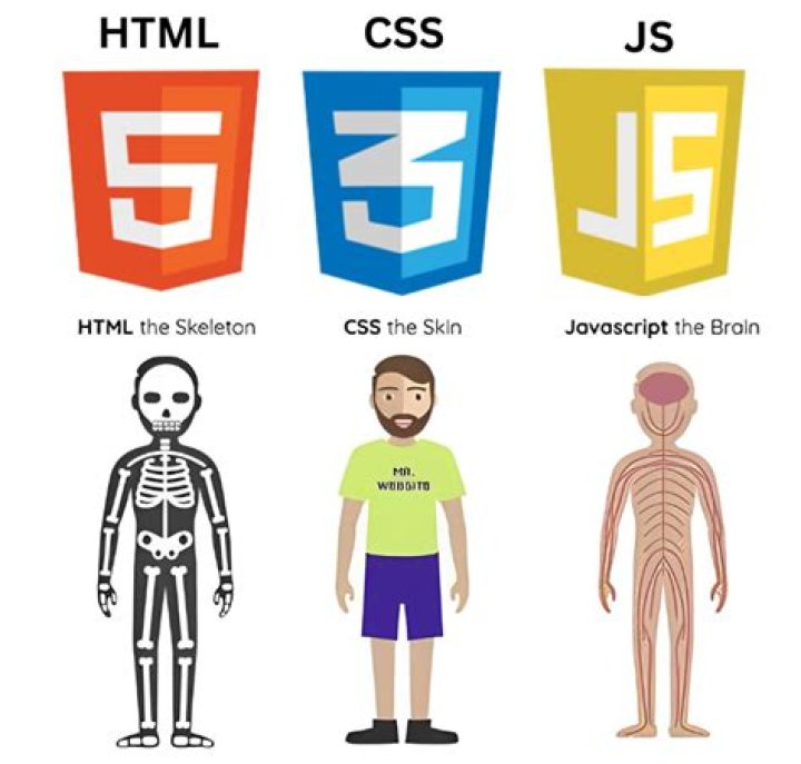 How do I enable JavaScript on WebView?