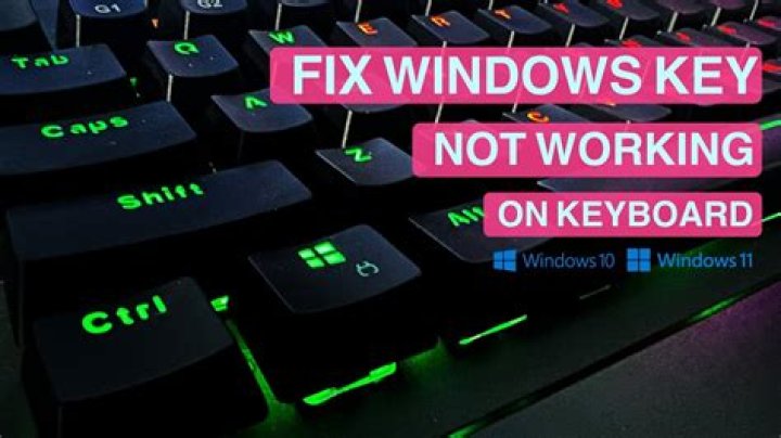 How do I fix my keyboard and mouse not working Windows 7?